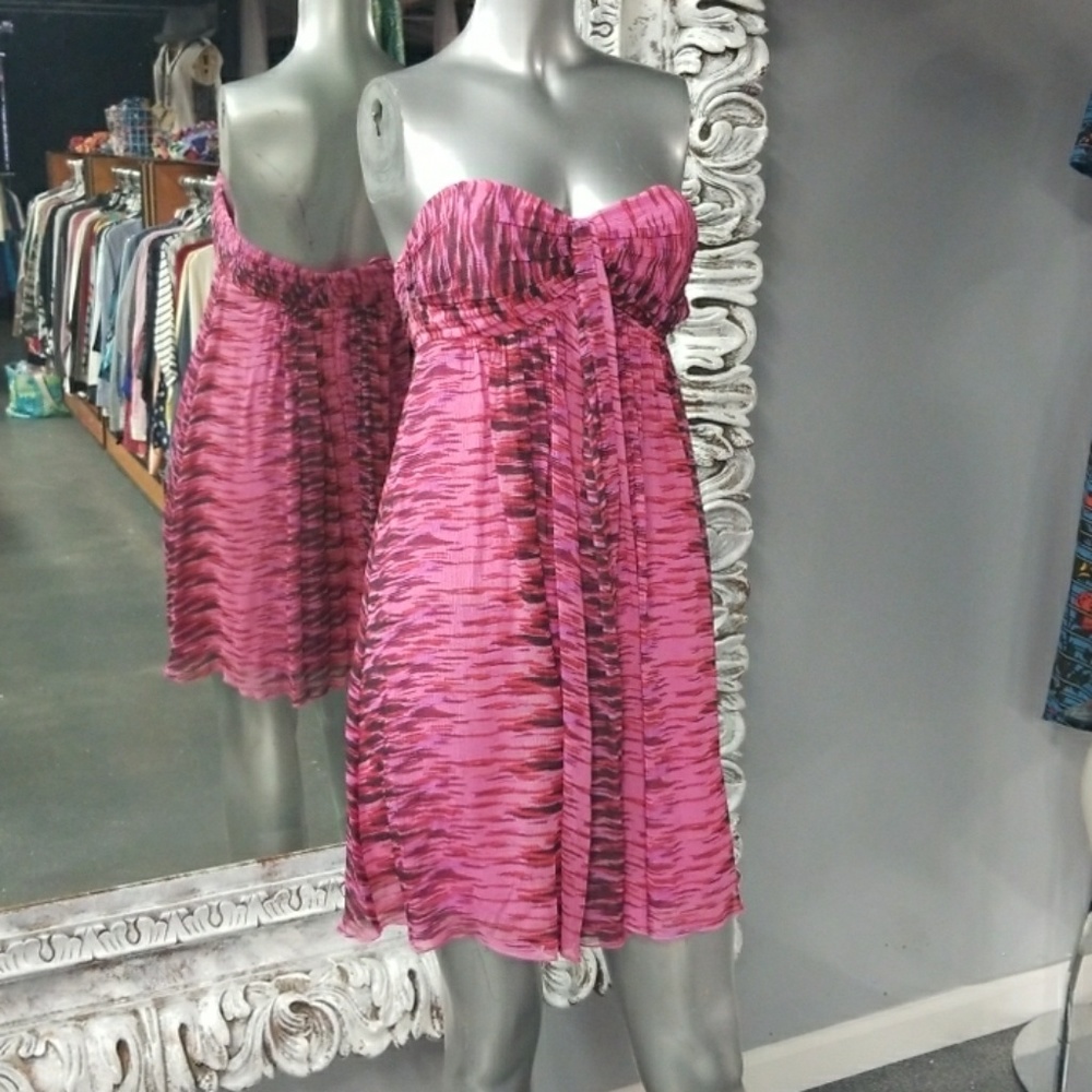 EXPRESS Strapless Padded 100% Silk